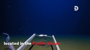 Au fond de l'océan : la fosse des Mariannes